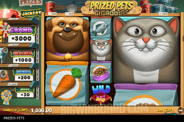 The new Prized Pets Gigablox slot game from YG Masters's development partner Northern Lights has the ubiquitous GEM.